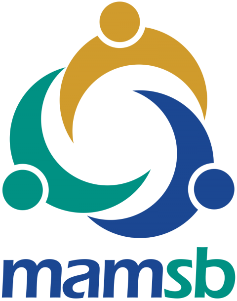 Malaysian Association of Money Services Business (MAMSB) logo